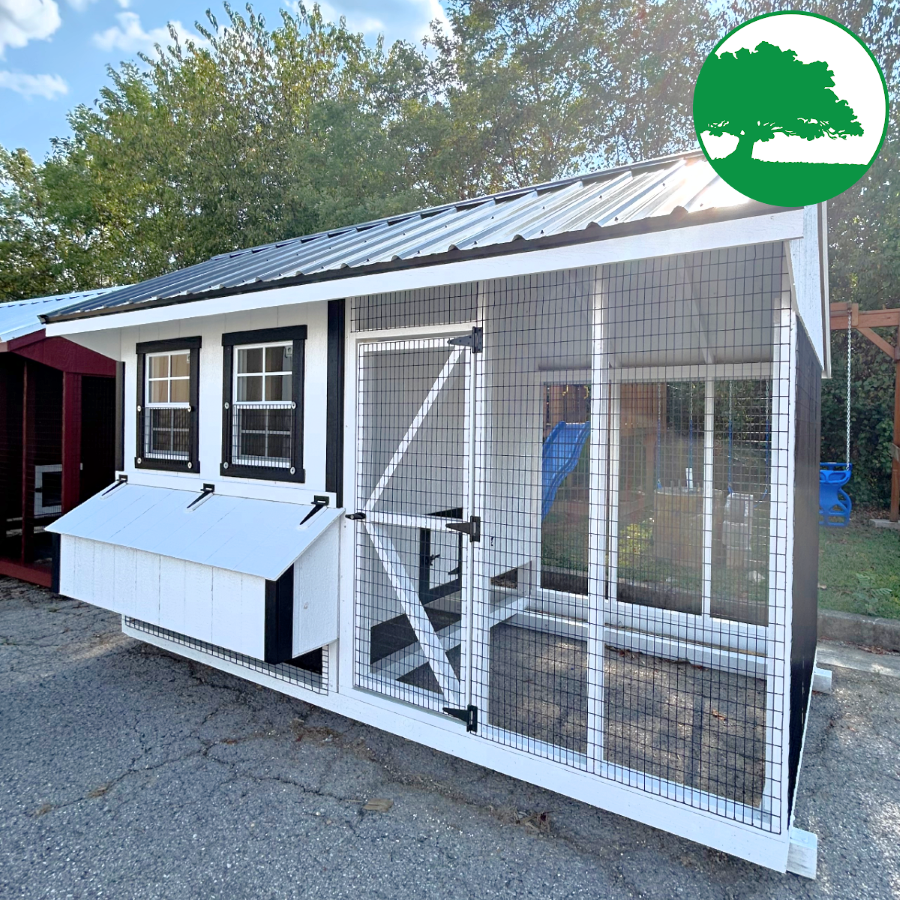6' x 12' Painted "Combination Coop"