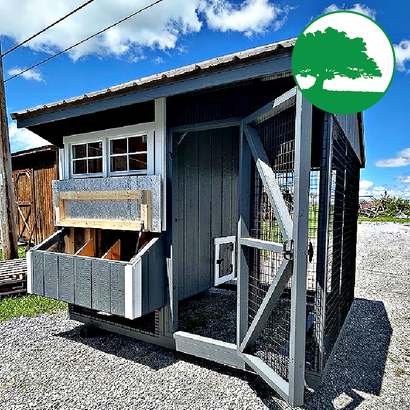 6′ x 8′ Painted “Combination Coop”